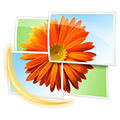 Windows Live Photo Gallery. Скачать бесплатно Windows Live Photo Gallery 16.4.3528.331
